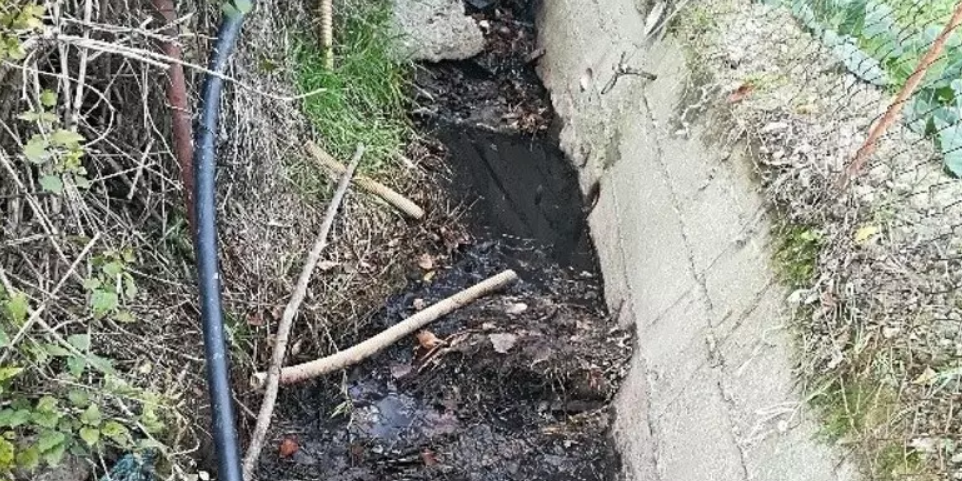 Smaltimento illecito di rifiuti, sequestrati due frantoi e un autolavaggio nel Cosentino