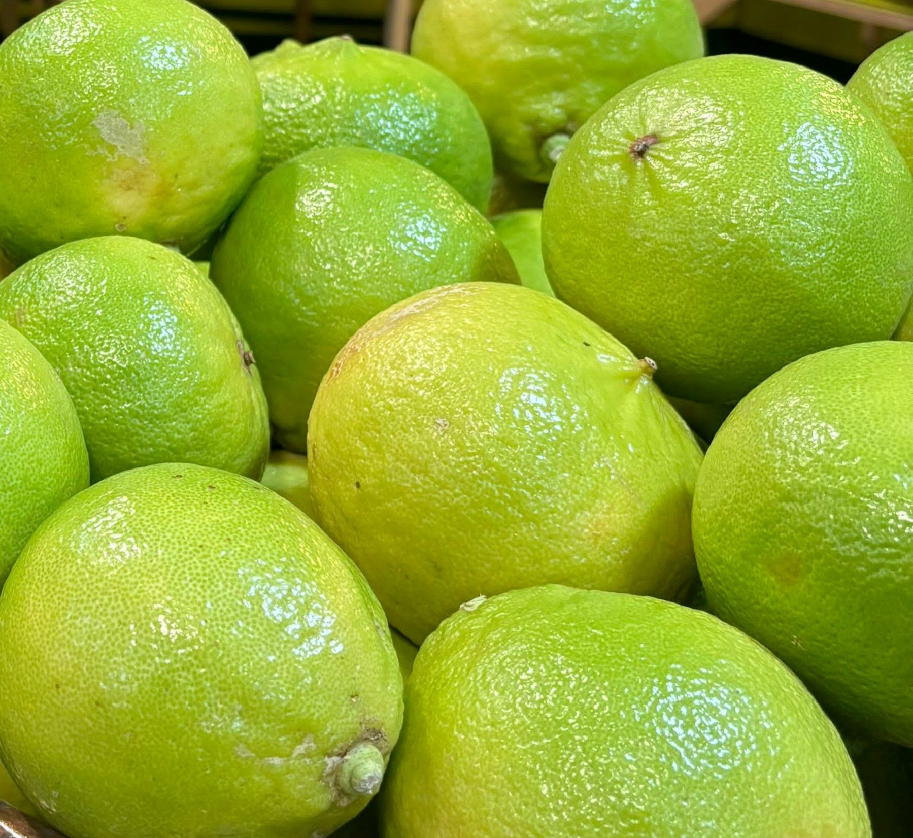 «Bergamotto Dop? L’onorevole Cerreto sgombera ogni dubbio»