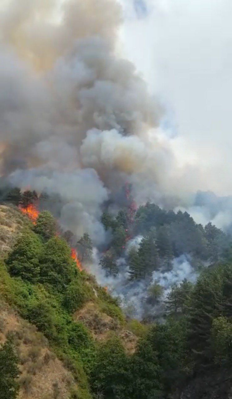 «Incendi, si combatte l'emergenza con l'improvvisazione»