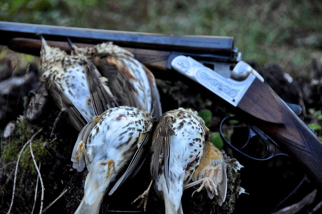 Trappole elettroniche per cacciare, denunciati – IL VIDEO