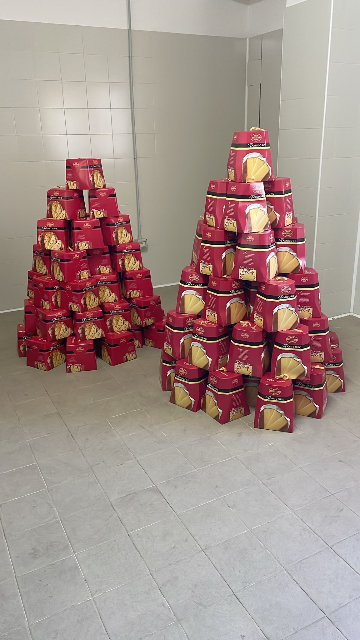 L’Associazione Jole Santelli dona pandori e panettoni ai detenuti del carcere di Paola