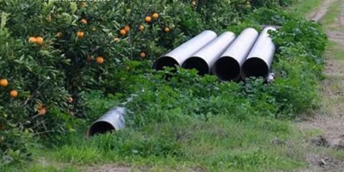 rottura sorical corigliano rossano
