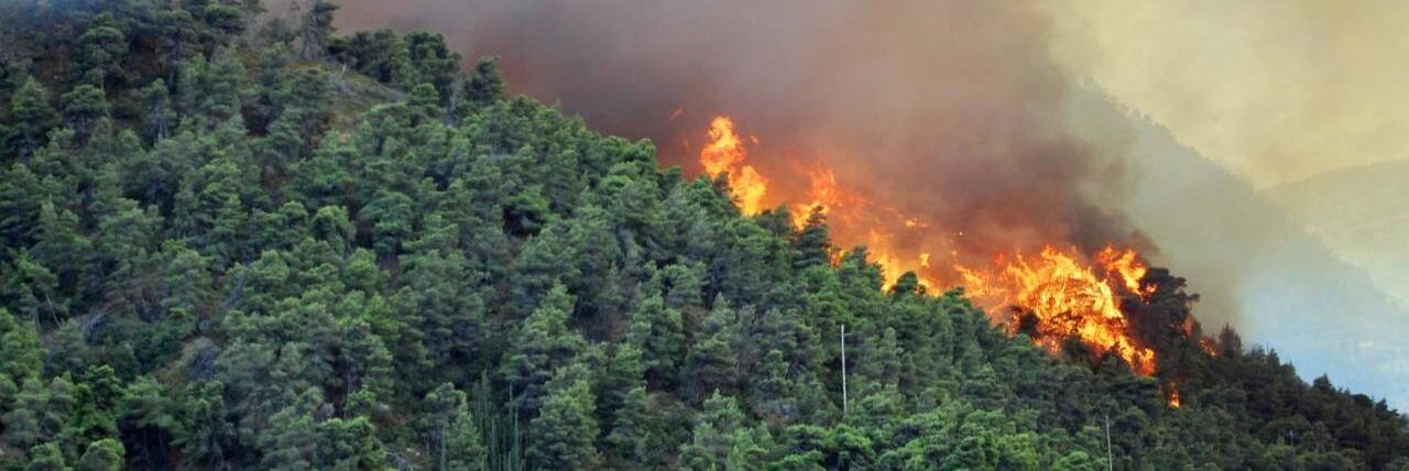 Incendi, 19 richieste di intervento aereo in Italia. 4 dalla Calabria