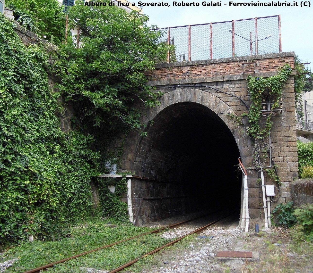 «Ferrovie, piccoli lavori per risolvere grandi problemi»