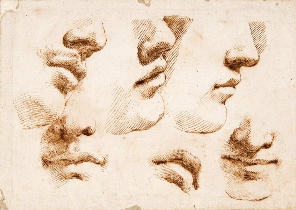 Il naso alla francese? Il ritocchino che tutte vorrebbero nacque in Calabria