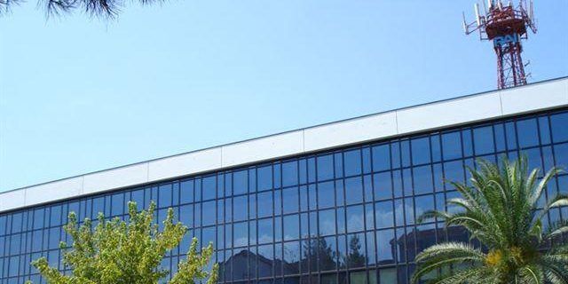 Un “Albero di Falcone” nella sede Rai di Cosenza