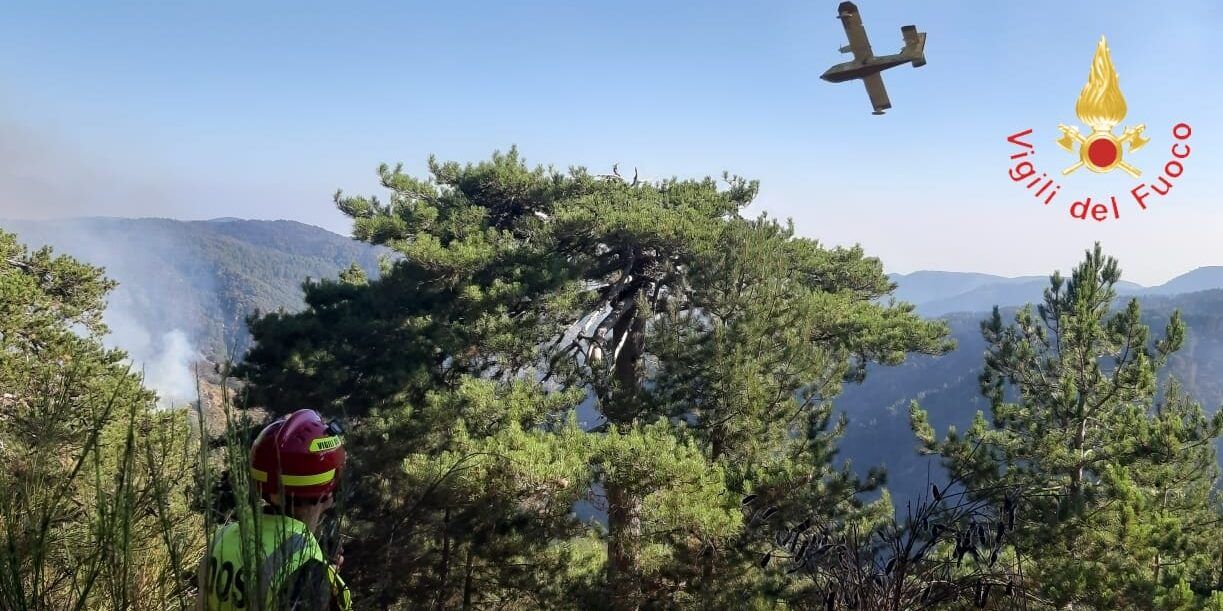 Reggio, oltre 750 interventi anticendio nella stagione estiva – VIDEO