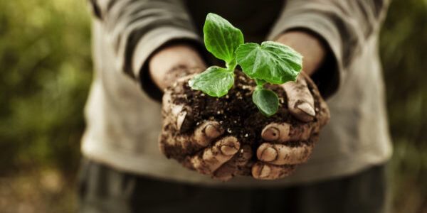 “Ripartiamo dalla nostra terra”: in Calabria progetto pilota per il reinserimento dei detenuti