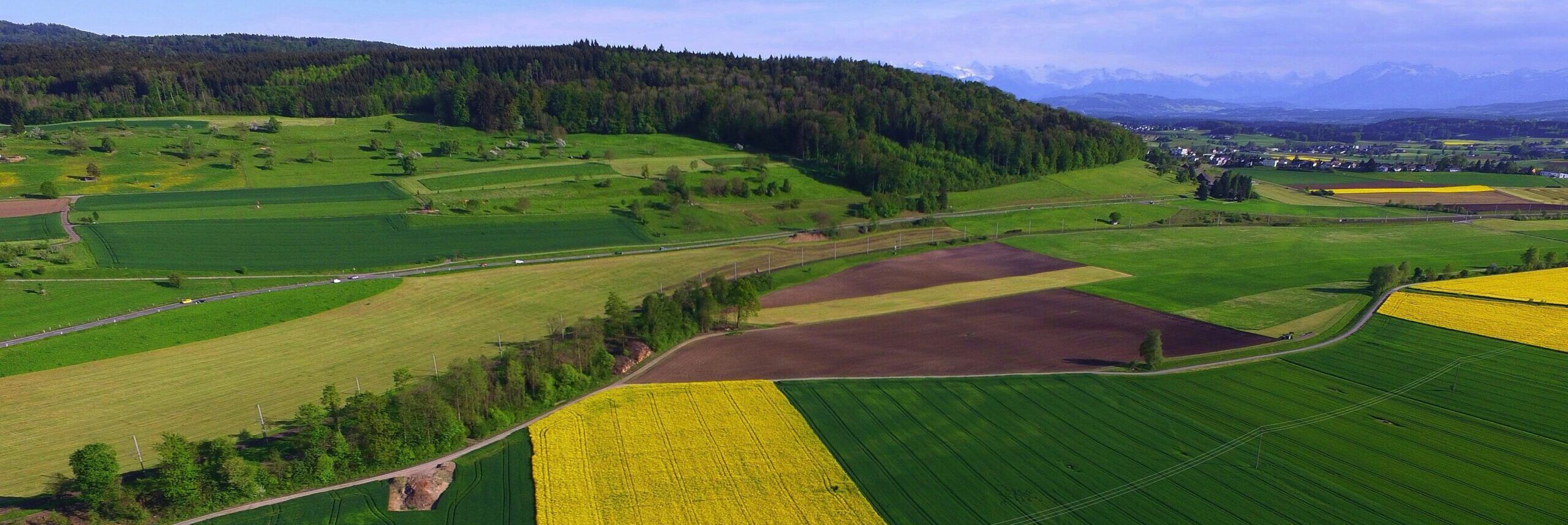 Borghi, Agriturist-Confagricoltura: «Valorizzare i territori rurali»