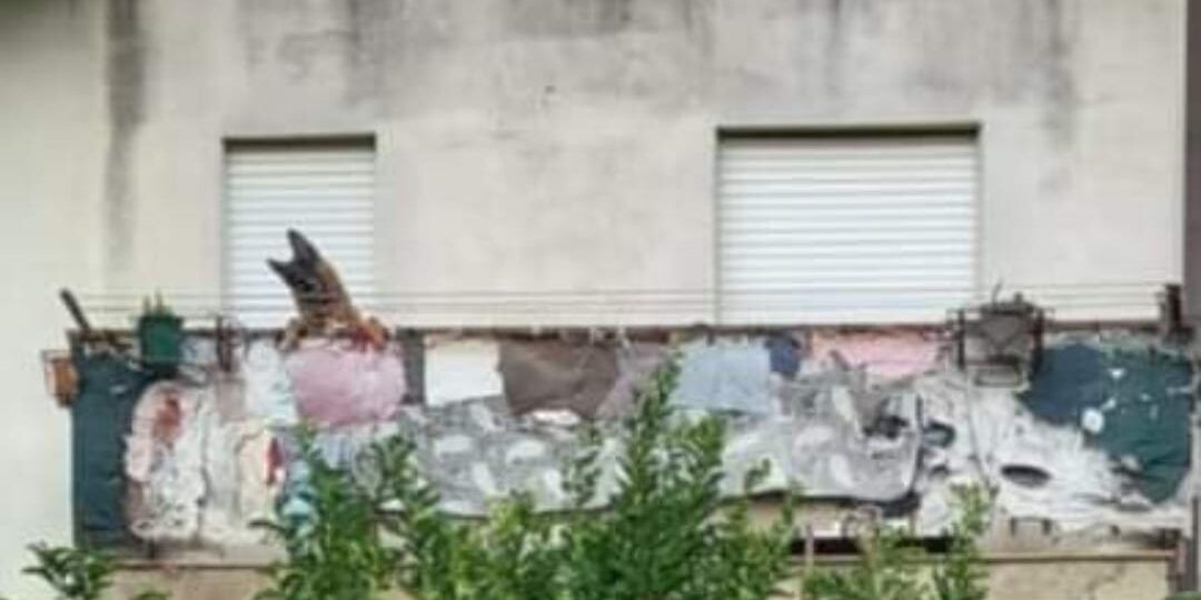 Pastore tedesco segregato su un balcone a Siderno. Arriva la querela di un’associazione