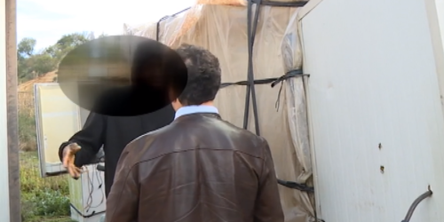 rosarno tgr violenze