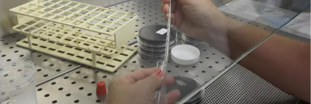 Donna muore dopo aver mangiato un insaccato, accusato il produttore