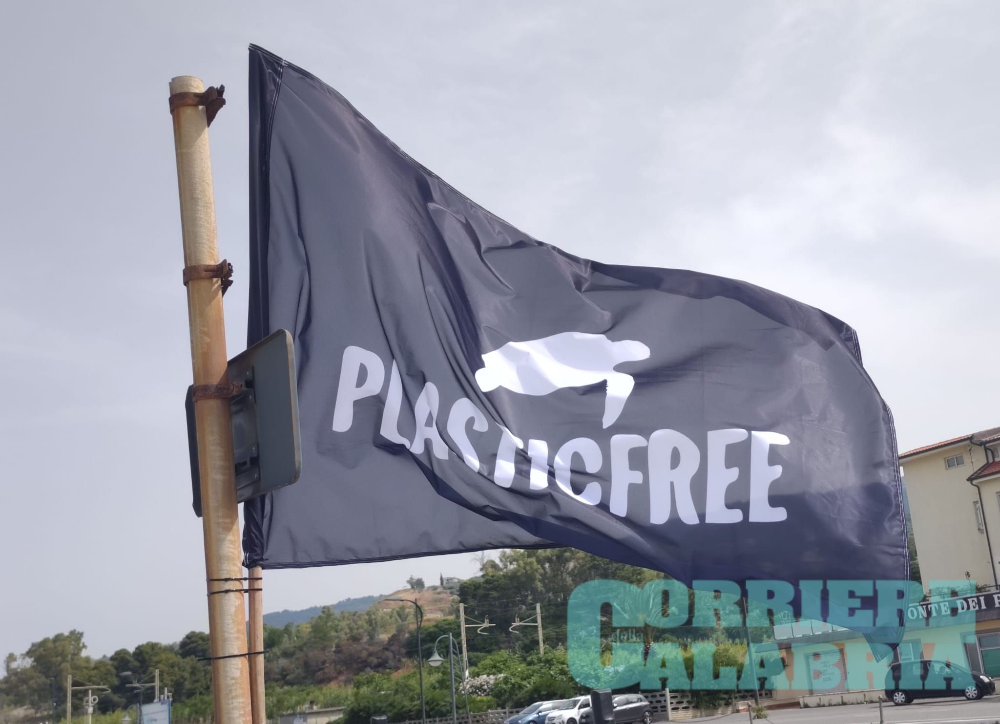 Una domenica “plastic free”: volontari in azione a Gizzeria e Falerna per ripulire le spiagge – VIDEO E FOTO