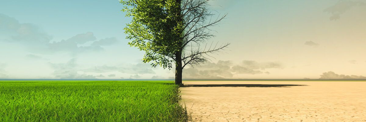 Crisi climatica, 60 esperti e scienziati presentano un documento con azioni urgenti di adattamento e mitigazione