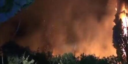 L’inferno in terra di Calabria: gli incendi si portano dietro una lunga scia di morte e di dolore