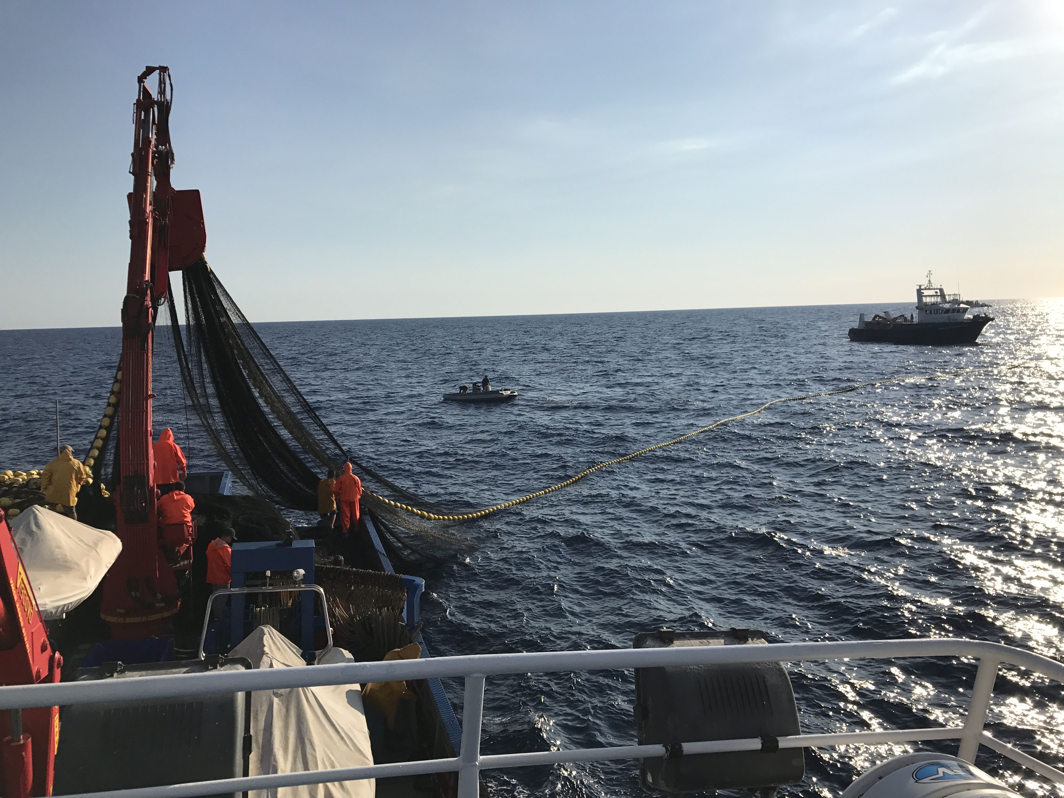 Pesca, la Regione Calabria centra l'obiettivo di spesa per i fondi Ue