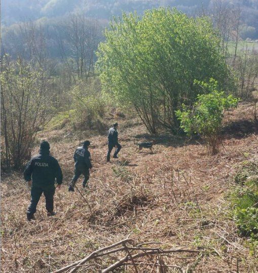 Anche i cani molecolari sulle tracce di Damiano Oriolo