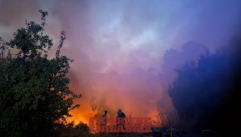 Incendi in Calabria: un’estate da incubo