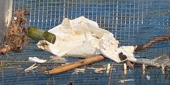 Oltre due tonnellate di rifiuti raccolti: ecco i dati del progetto “Mare Pulito” – VIDEO