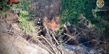 Mileto, arrestato un 49enne accusato di incendio boschivo – FOTO E VIDEO