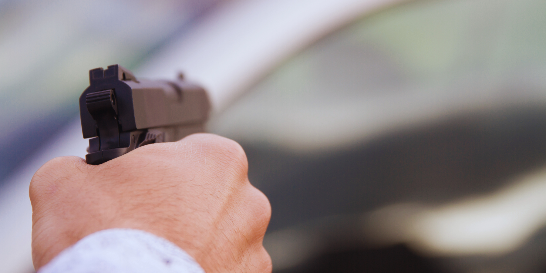 Zi Micu Alvaro il “Re dell’Aspromonte” capace di tutto per gli affari. «Li spara e li getta in pasto al maiale»