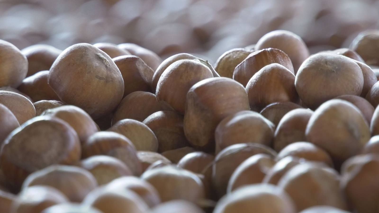 Nutella made in Calabria? «No grazie»