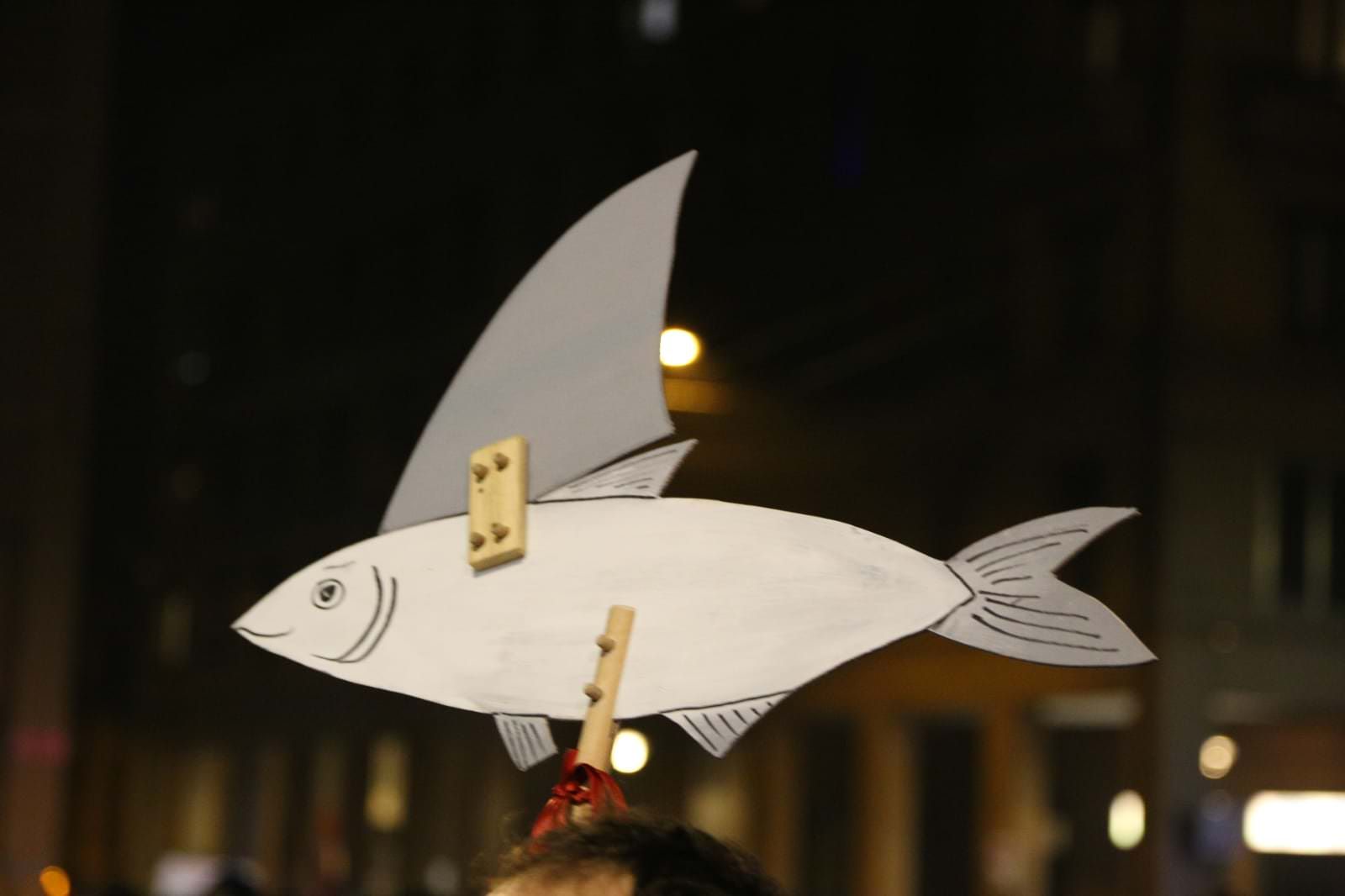 Cosenza, "Sardine" in piazza il 30 novembre