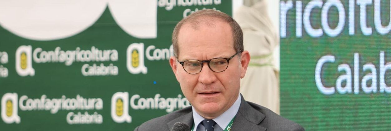 Confagricoltura: «Il governo poteva osare di più, soprattutto per il Sud»