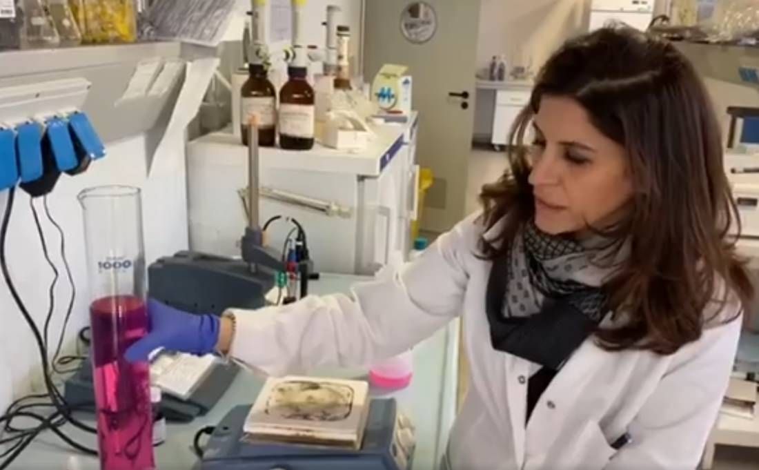 Coronavirus, i disinfettanti "autoprodotti" da Arpacal e dal "Da Vinci" di San Giovanni in Fiore