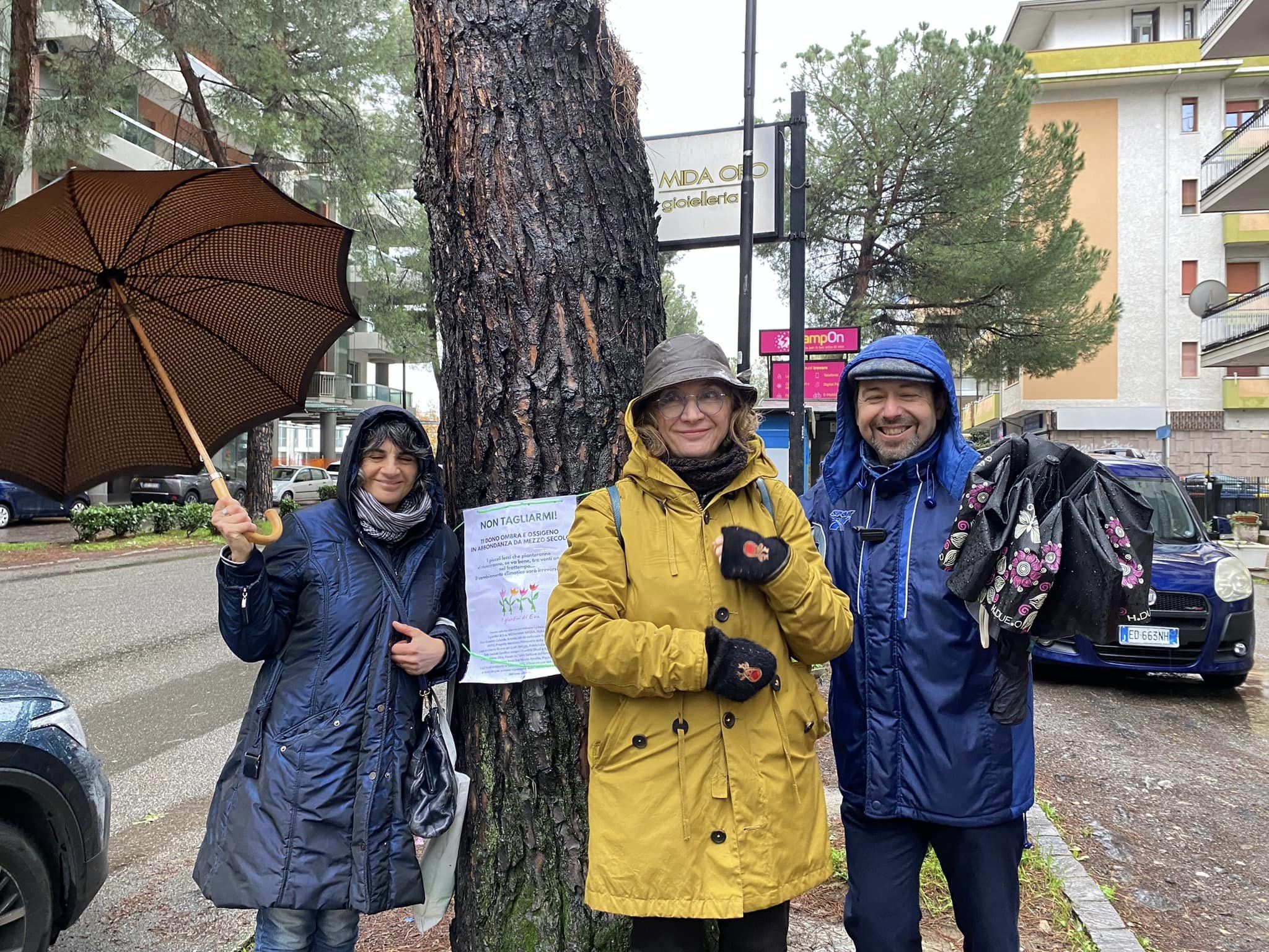 Sit in contro abbattimento alberi a Rende, ma i manifestanti trovano le gomme dell’auto tagliate