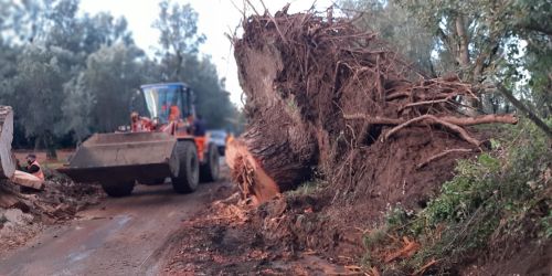 interventi Castore (1) maltempo reggio calabria