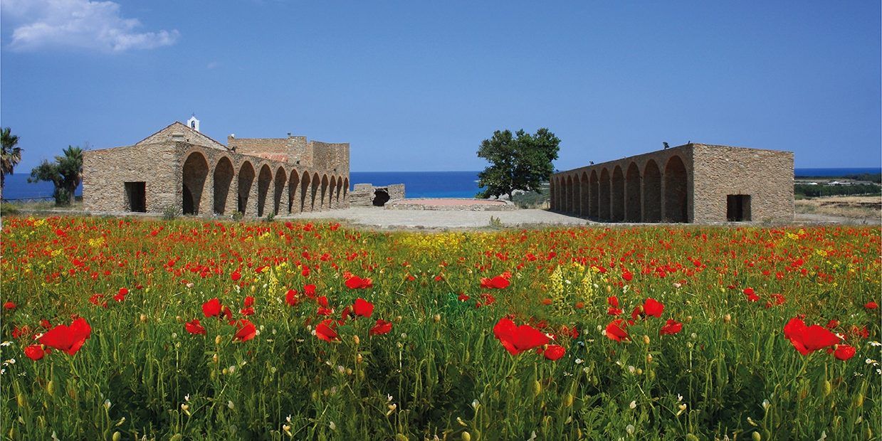 Ecco il Cirò Wine Festival 2025: una grande festa di comunità e del territorio