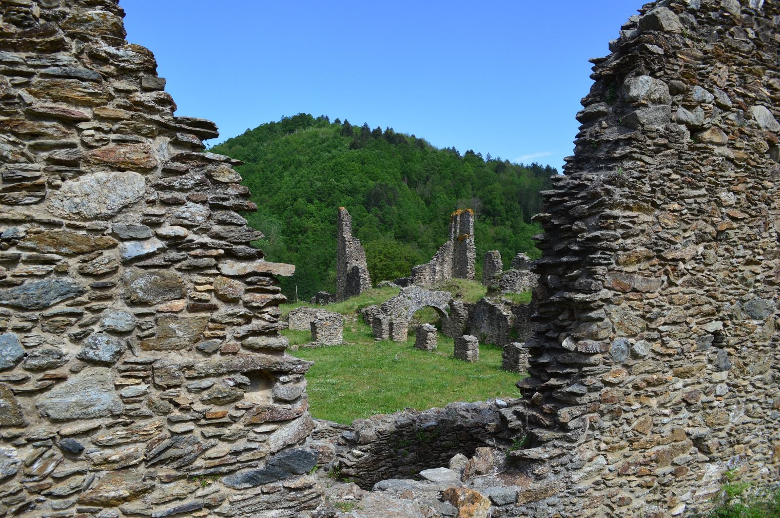 «Abbazia di Corazzo: non solo rovine»