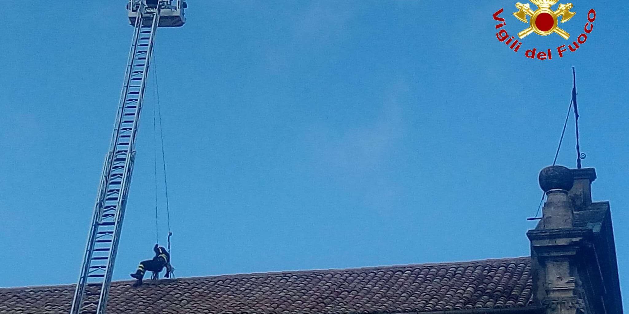 Tegole pericolanti, intervento dei vigili del fuoco a Vibo – FOTO