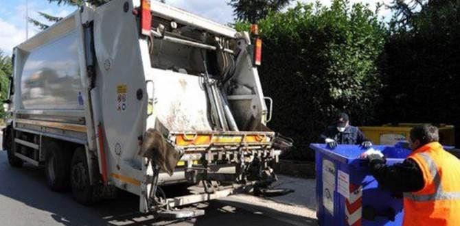 TRASH | 'Ndrangheta e politica si sono mangiate Fata Morgana