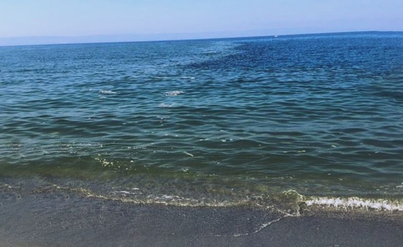 Mare di colore verde tra Lamezia, Gizzeria ed Amantea: a lavoro il laboratorio mobile Arpacal