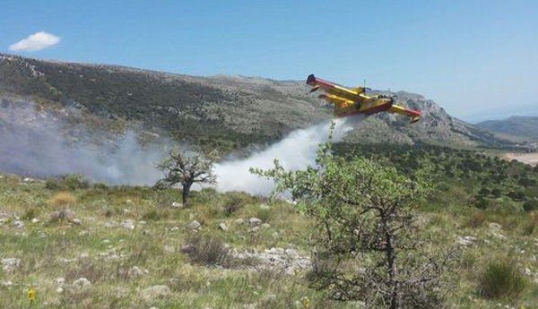 Incendi, 1000 volontari in azione sul Pollino