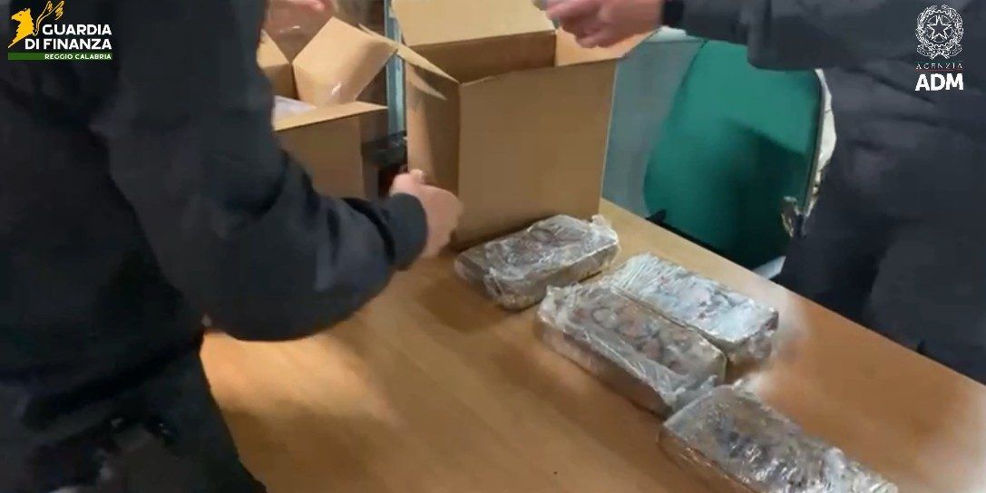 Porto di Gioia Tauro, sequestrati 175 chili di droga dal valore di 30 milioni. Erano nascosti tra polpi e gamberi surgelati – VIDEO