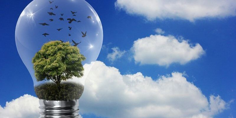 «Perché è utile investire nell’energia rinnovabile in agricoltura»