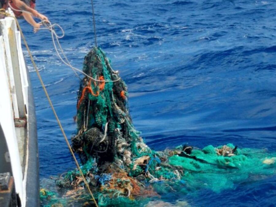 Legge Salvamare, Tommasi: «Regione si attivi per l’immediata applicazione»