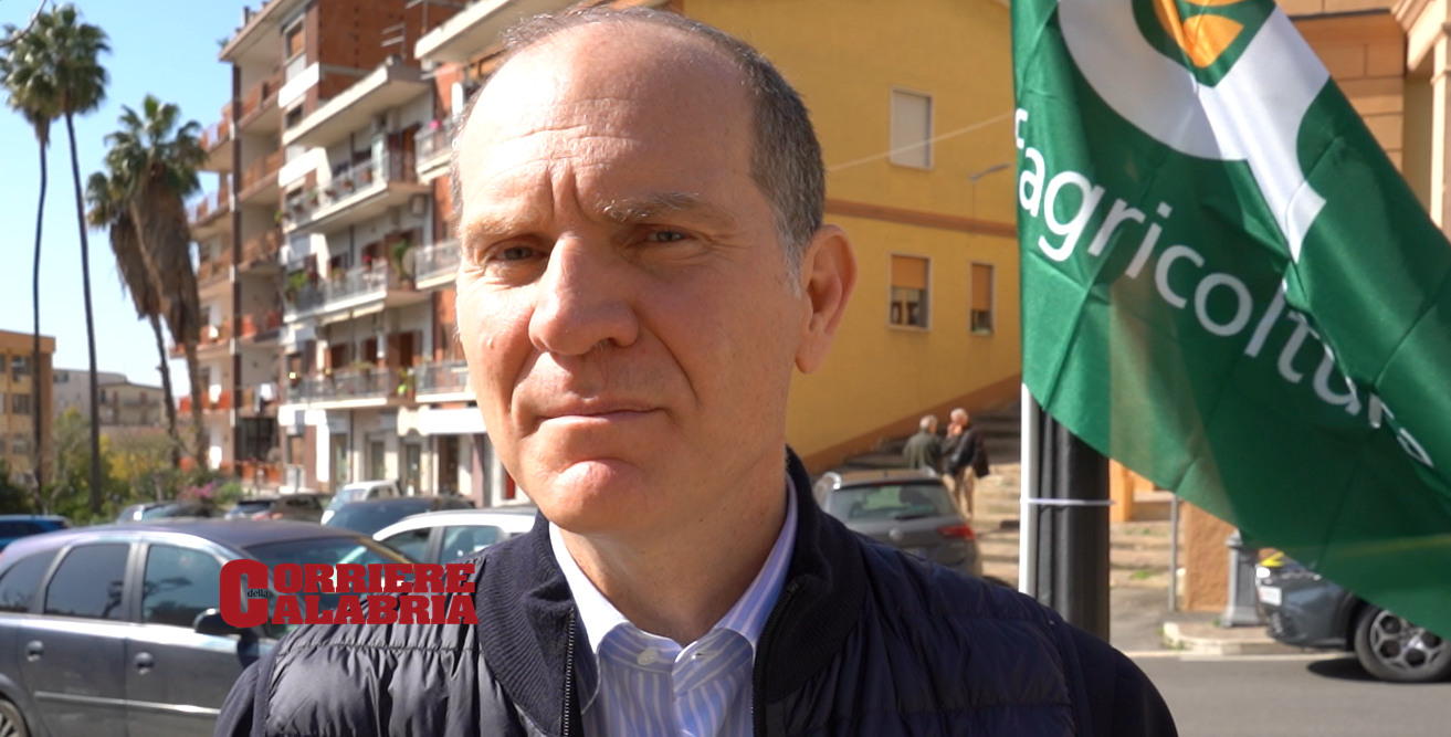 «Carbonio, sostenere la filiera e condividere le responsabilità»