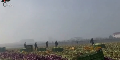 Gli schiavi nei campi, minacce di morte per una paga da fame. «O così o ti licenzio»