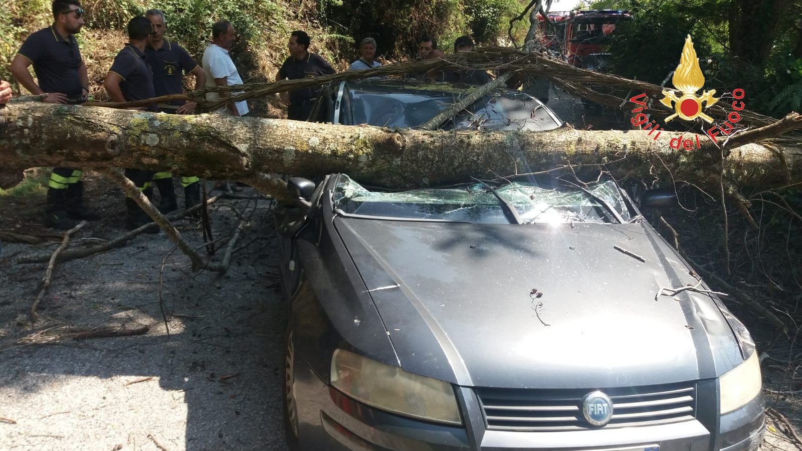 Lamezia, albero cade sulla strada e travolge un'auto. Un ferito