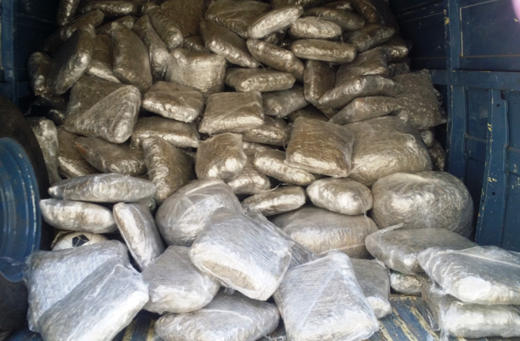 Guerra per la droga tra le cosche di Rosarno, 31 fermi – VIDEO