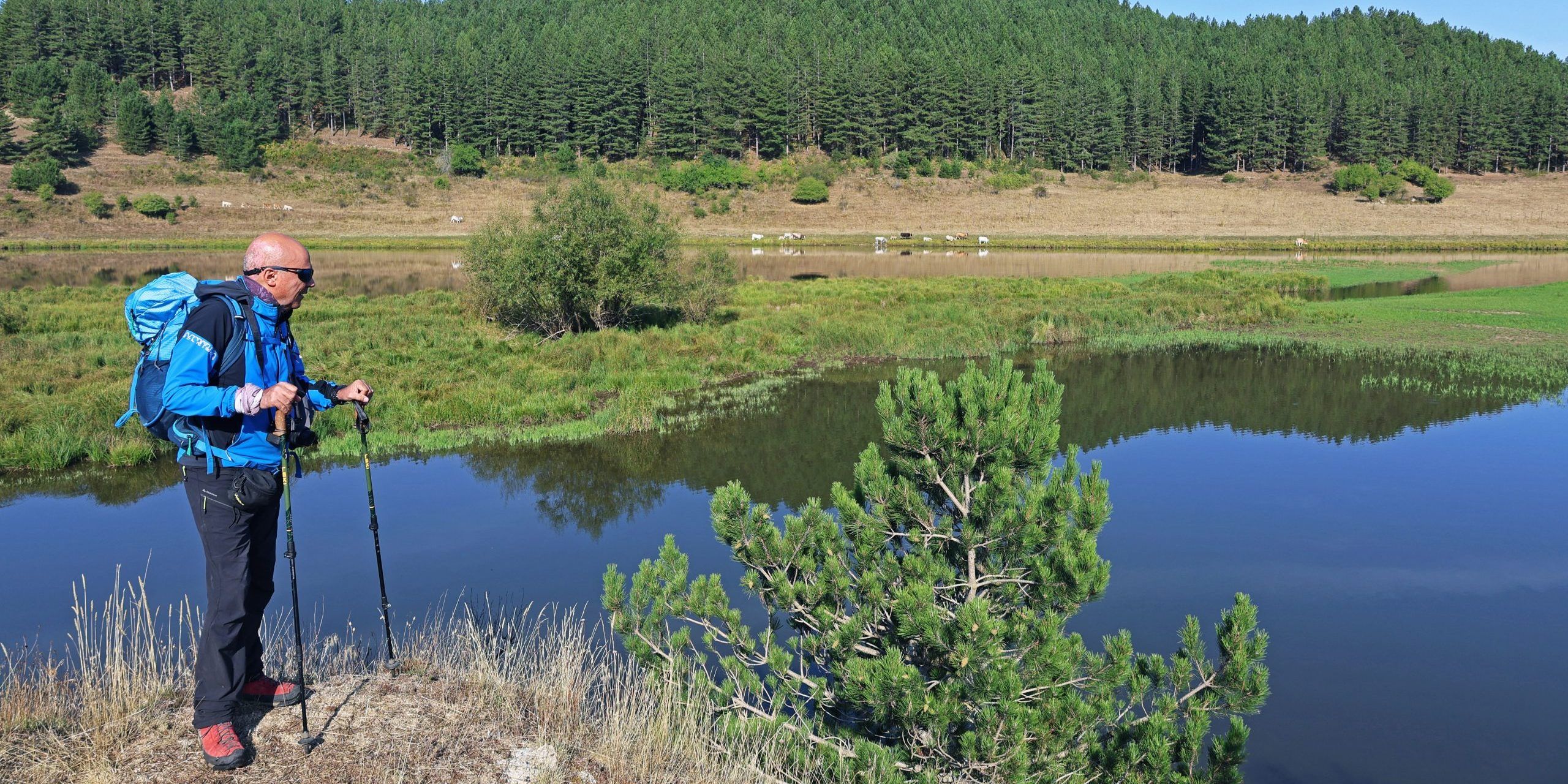 No grazie, la vacanza non fa per me