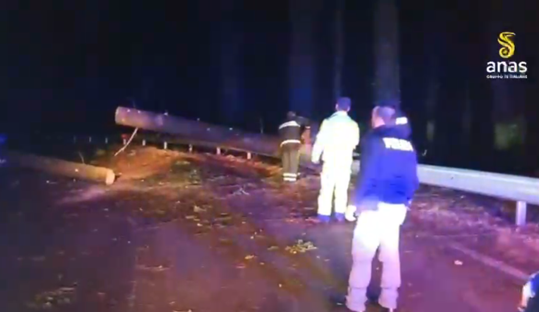 Maltempo nel Vibonese, albero cade su un’auto: un ferito a Serra San Bruno