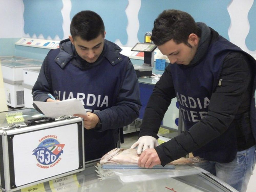 La Guardia costiera sequestra 900 chili di novellame a Roccella