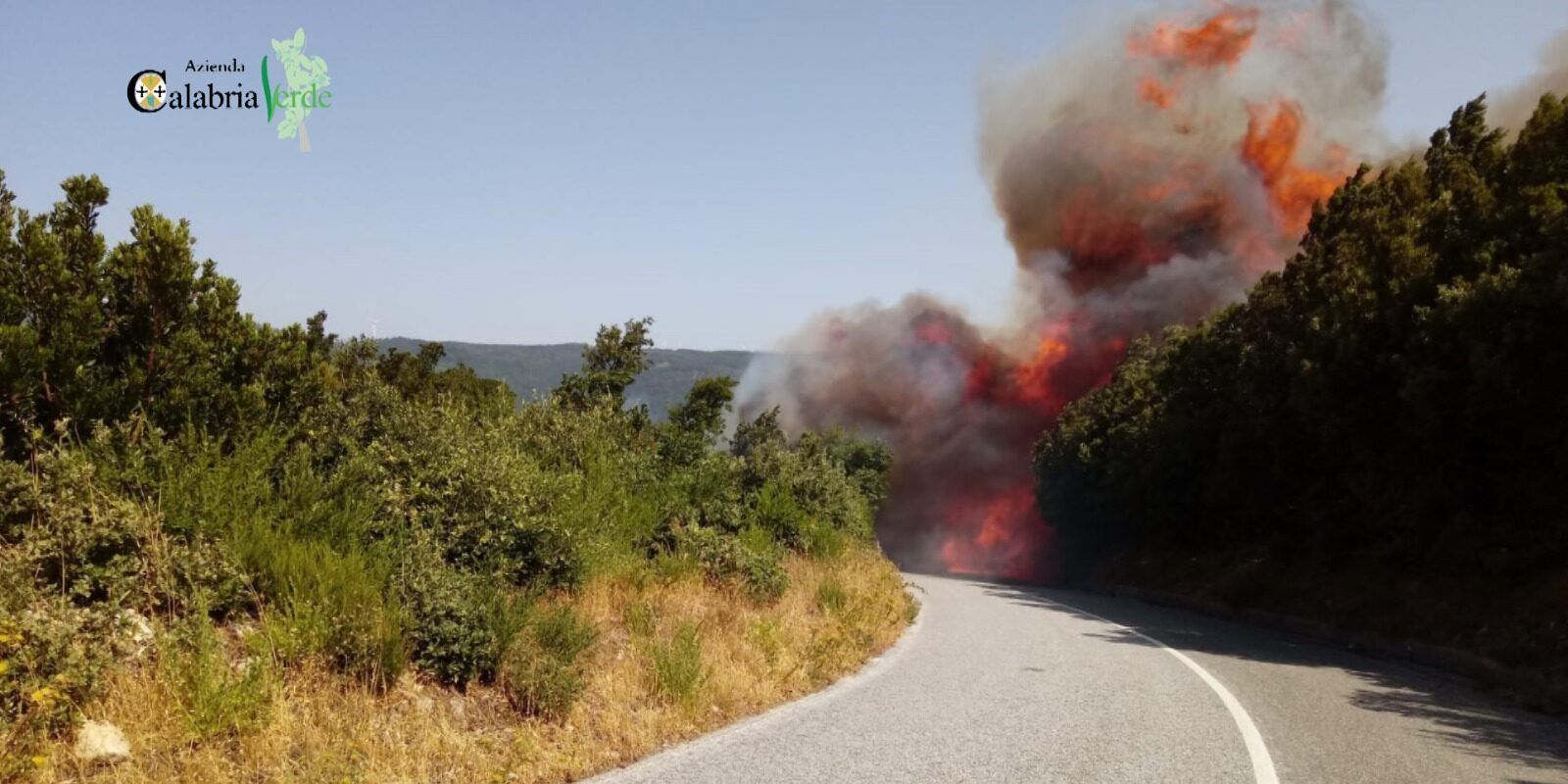 Incendi in diminuzione in Calabria: 85% in meno rispetto al 2022. Droni e strategie di prevenzione funzionano
