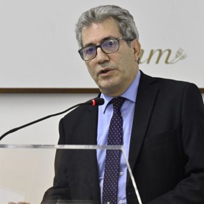 Vignetta della Camera Penale di Cosenza, Diella: «Questa non è satira»