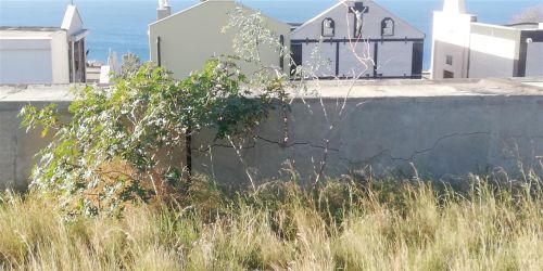 «Troppi pericoli in quel cimitero, il Comune lo chiuda». La denuncia a Motta San Giovanni